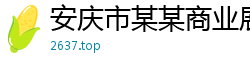 安庆市某某商业展览教育中心